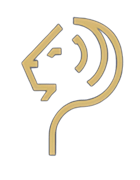 Palacios Asesores & Revisores